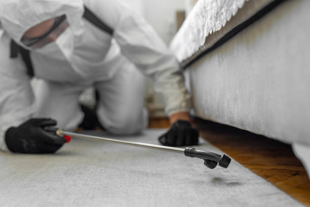 Professional Bed Bug Control technician working in Fredericksburg, PA