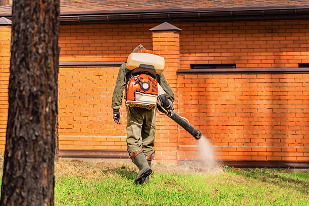 Trusted Termite Control service in Fredericksburg, PA - Nex Pest Control